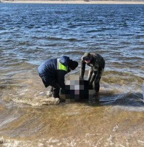 Многодневные поиски завершены: в районе СНТ «Химик» в Волжском обнаружили погибшего мужчину