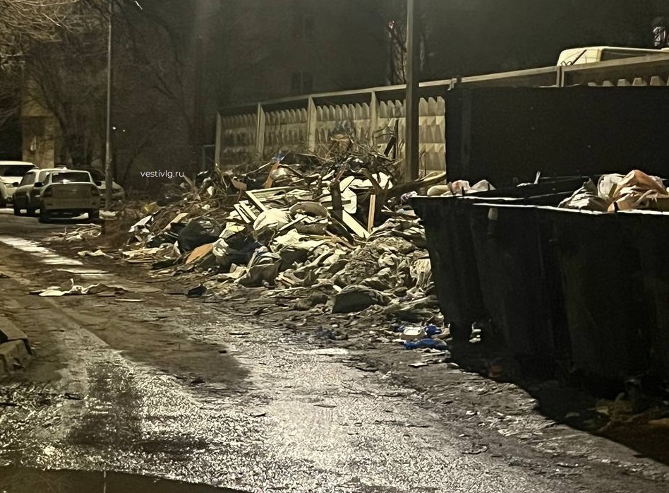 «Платим, но не убирают»: волгоградцы пожаловались на заваленный мусором двор