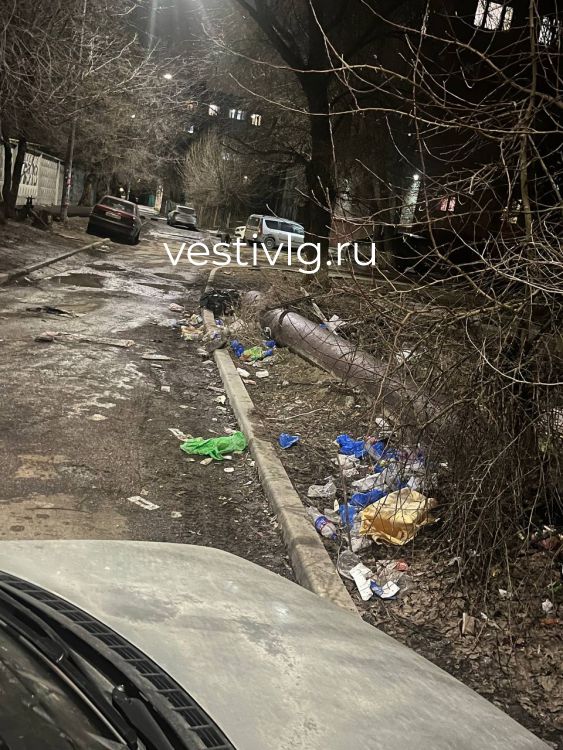 «Платим, но не убирают»: волгоградцы пожаловались на заваленный мусором двор