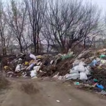 Мусорная стена в частном секторе Волгограда вышла из-под контроля