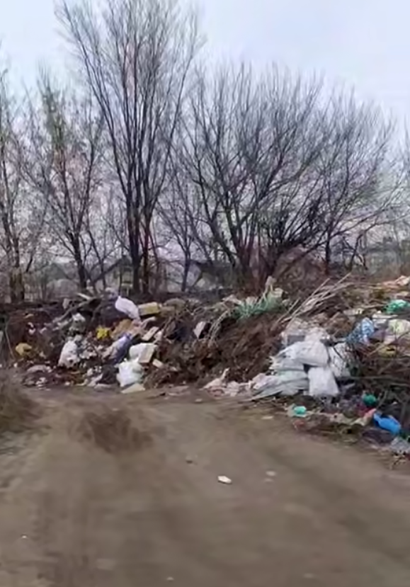 Мусорная стена в частном секторе Волгограда вышла из-под контроля