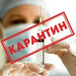 Опасные инфекции: в Волгоградской области выявили бешенство и бруцеллёз