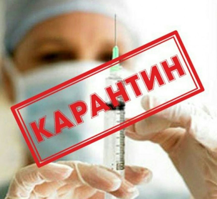 Опасные инфекции: в Волгоградской области выявили бешенство и бруцеллёз