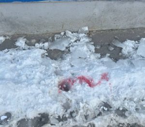 Опасные пятна на снегу заметили у библиотеки на улице Невской