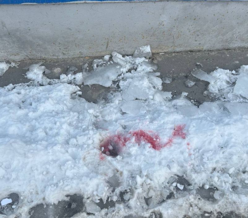 Опасные пятна на снегу заметили у библиотеки на улице Невской