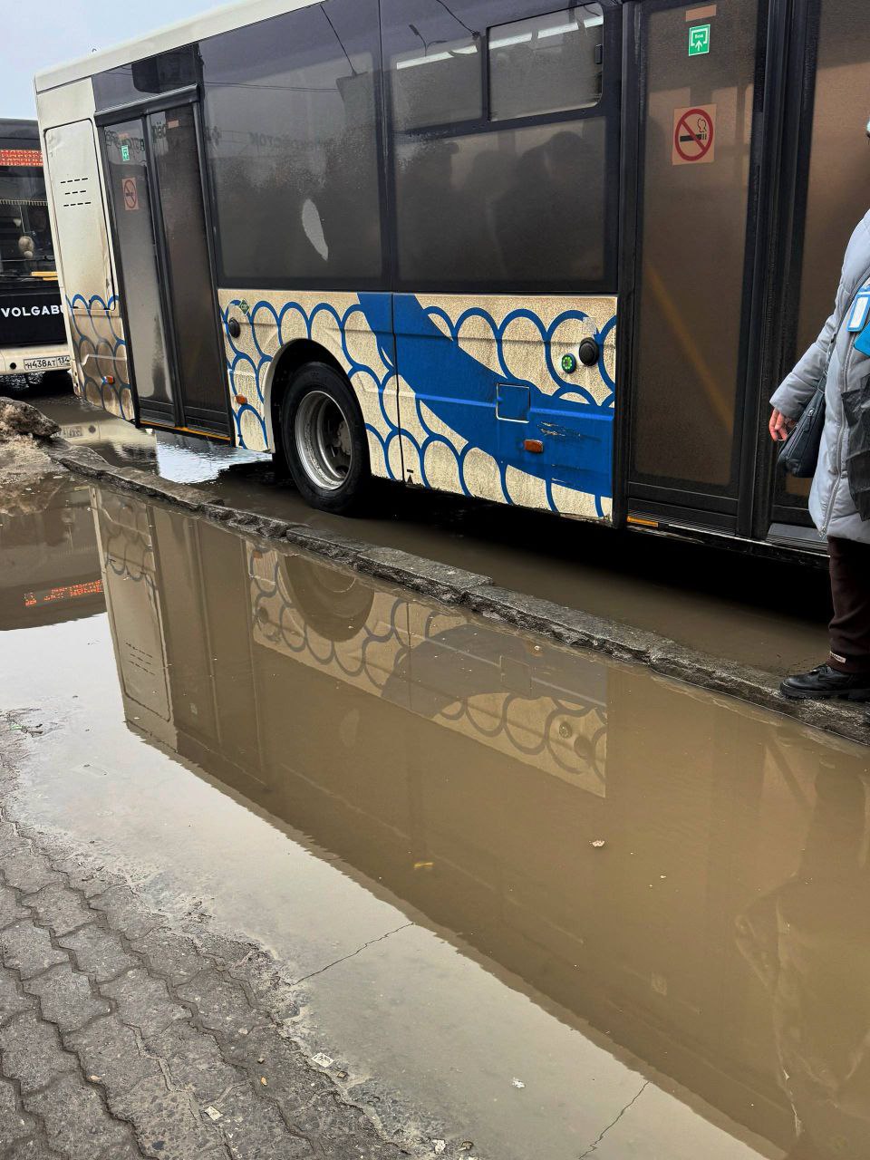 Волгоградцы пожаловались на огромную лужу у остановки СХИ