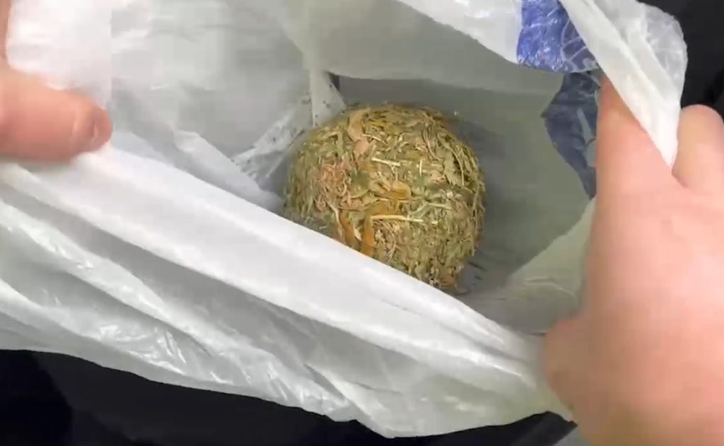 Под Волгоградом на посту ДПС нашли 72 грамма каннабиса у пассажира машины