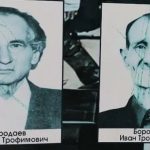 Полиция проверяет факт порчи портретов участников Великой Отечественной войны в Палласовском районе