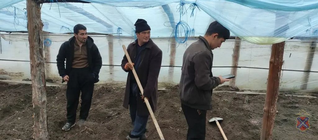 Рейд на мигрантов в Иловлинском районе: 18 человек доставлены в полицию