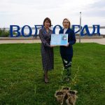 Саженцы «Сталинградского тополя» зарегистрировали как бренд Волгоградской области