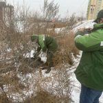 Суд в Волгограде обязал предпринимателя выплатить 170 тысяч за загрязнение почвы