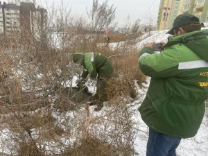 Суд в Волгограде обязал предпринимателя выплатить 170 тысяч за загрязнение почвы