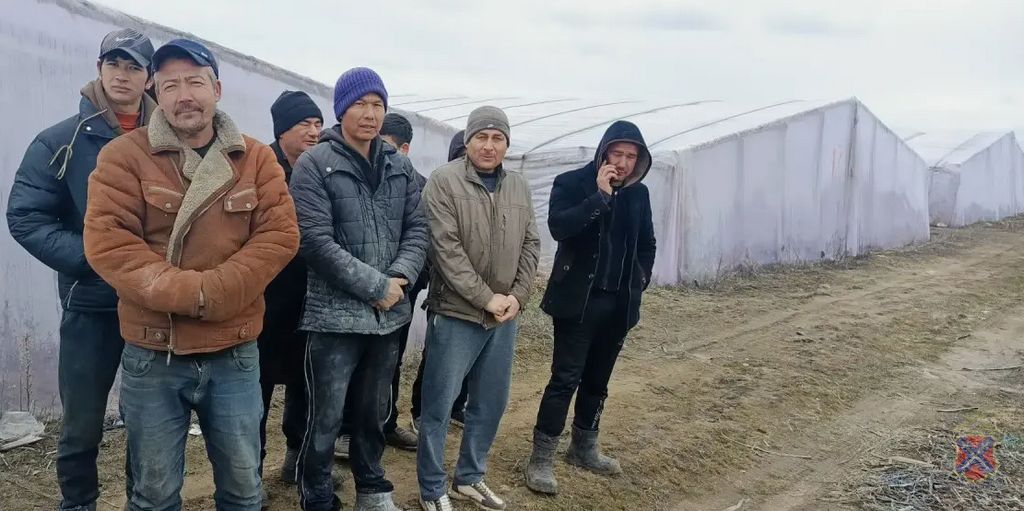 Рейд на мигрантов в Иловлинском районе: 18 человек доставлены в полицию