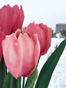 В Советском районе Волгограда открыли весеннюю фотозону с подарками к 8 Марта