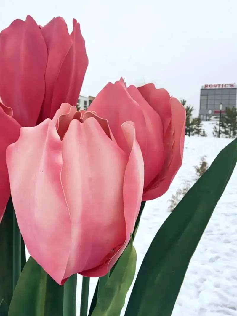 В Советском районе Волгограда открыли весеннюю фотозону с подарками к 8 Марта