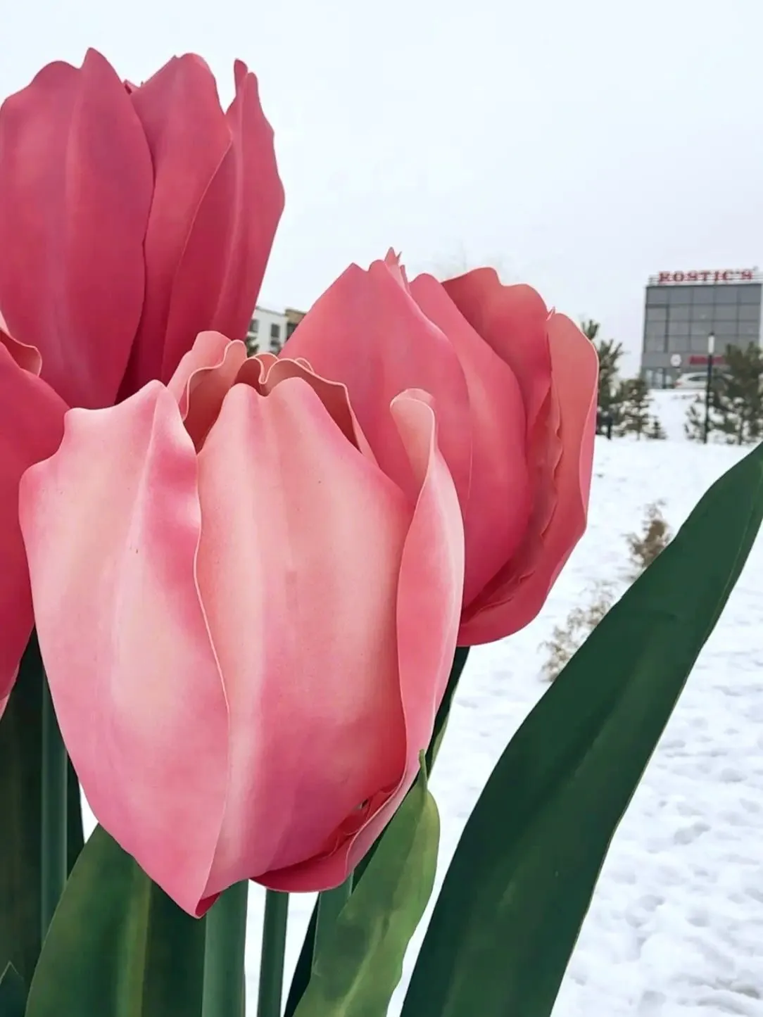 В Советском районе Волгограда открыли весеннюю фотозону с подарками к 8 Марта