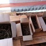 Во Фролово задержали мужчину за выращивание и хранение марихуаны