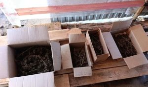 Во Фролово задержали мужчину за выращивание и хранение марихуаны