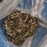 Задержание в Серафимовичском районе: у мужчины нашли марихуану