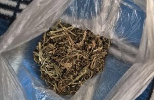 Задержание в Серафимовичском районе: у мужчины нашли марихуану