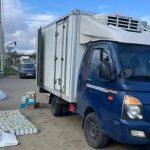 270 банок деликатеса: крупную партию черной икры изъяли на трассе Сызрань — Волгоград