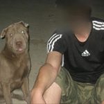 «Чёрная вдова»? Семья пропавшего мобилизованного из Волгограда требует расследования