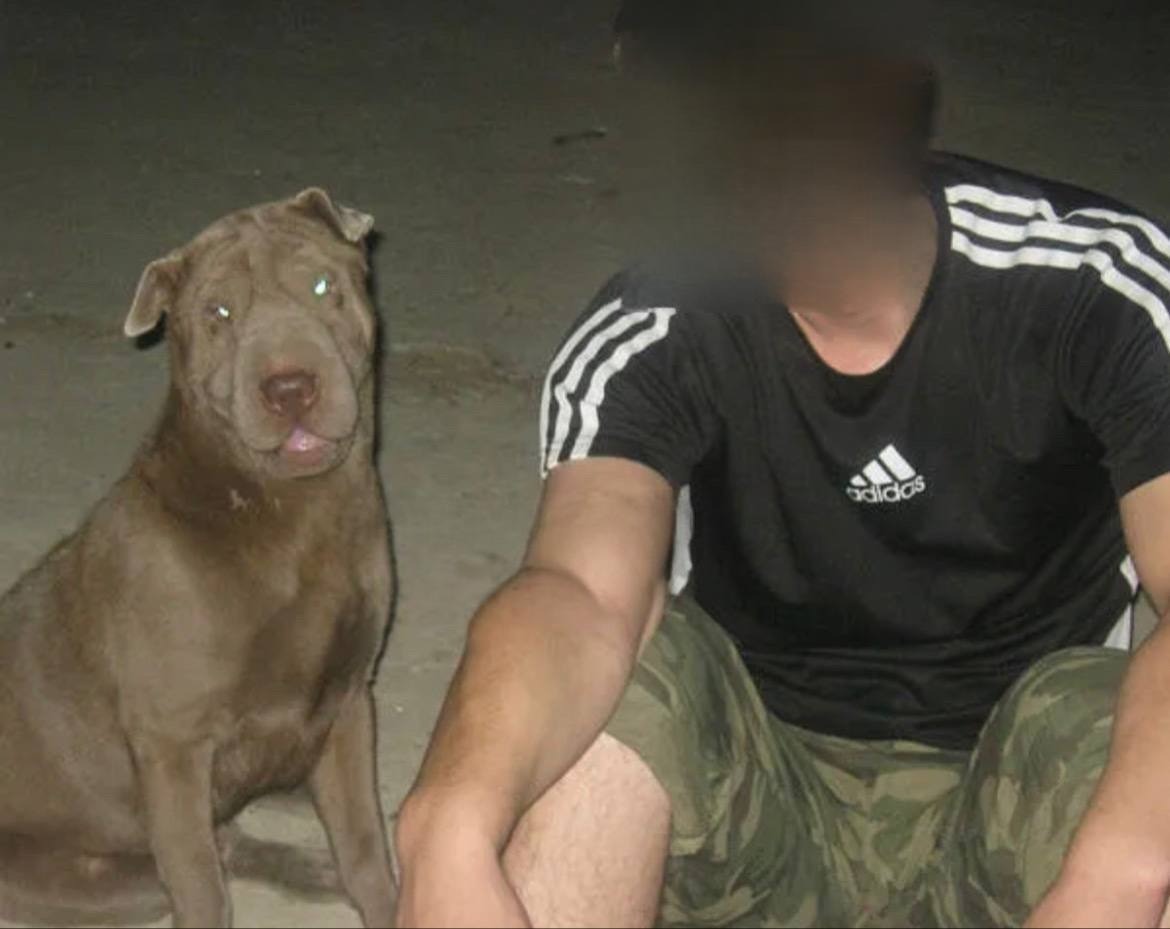 «Чёрная вдова»? Семья пропавшего мобилизованного из Волгограда требует расследования