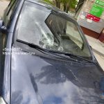 «Кто оплатит ущерб?» Упавшее дерево разбило машину в Волгограде