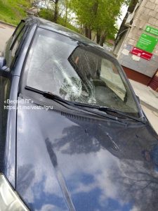 «Кто оплатит ущерб?» Упавшее дерево разбило машину в Волгограде