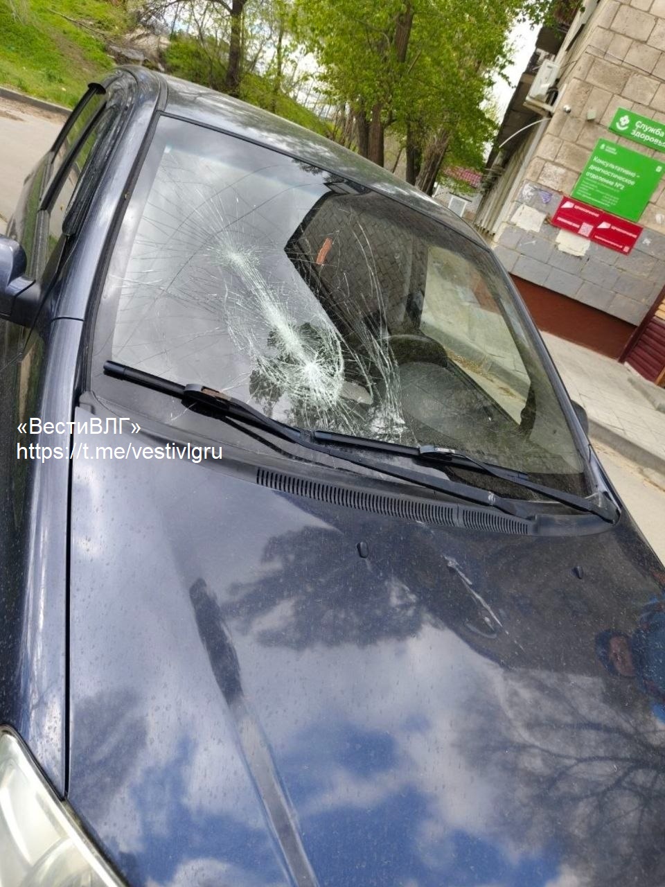 «Кто оплатит ущерб?» Упавшее дерево разбило машину в Волгограде