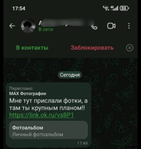 Жители Волгограда жалуются на взломы в MAX: как не попасться на уловки