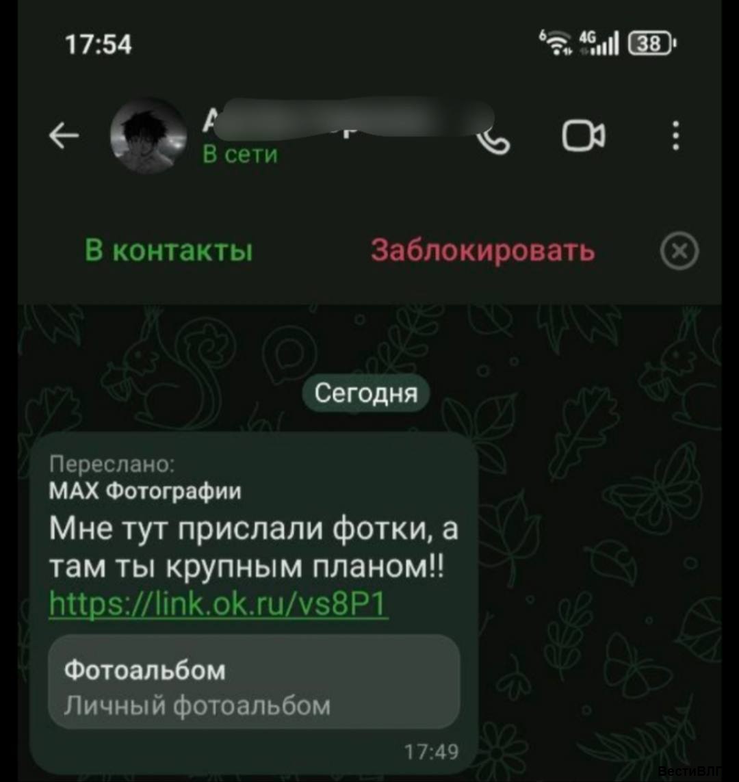 Жители Волгограда жалуются на взломы в MAX: как не попасться на уловки
