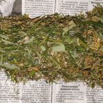 Под Волгоградом остановили авто с коноплёй — водитель отказался от освидетельствования