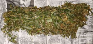 Под Волгоградом остановили авто с коноплёй — водитель отказался от освидетельствования