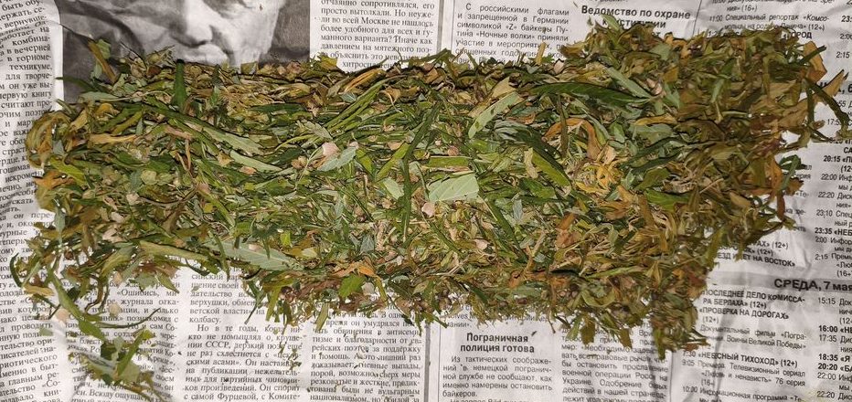 Под Волгоградом остановили авто с коноплёй — водитель отказался от освидетельствования