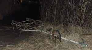 Под Волгоградом продолжаются поиски двух мужчин, исчезнувших во время рыбалки