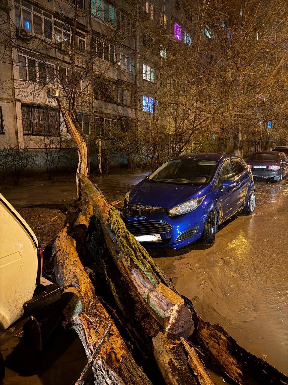 Припаркованный автомобиль пострадал из-за упавшего дерева на Спартановке
