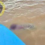 Один погиб, второй пропал: трагедия на рыбалке под Волгоградом