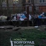 В Краснооктябрьском районе Волгограда образовалась огромная свалка на Хользунова, 18а