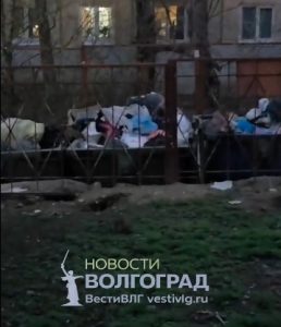 В Краснооктябрьском районе Волгограда образовалась огромная свалка на Хользунова, 18а