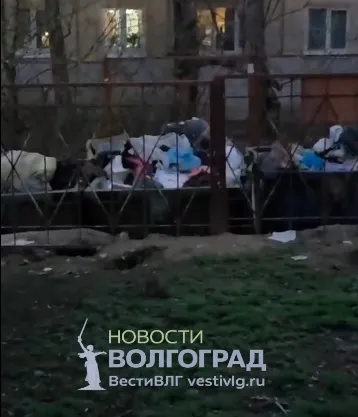 В Краснооктябрьском районе Волгограда образовалась огромная свалка на Хользунова, 18а
