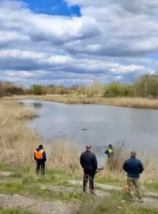 В Волгоградской области ищут утонувшего мужчину
