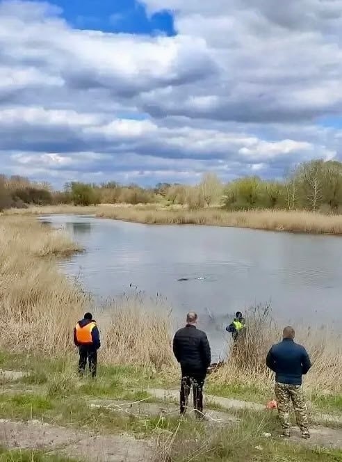 В Волгоградской области ищут утонувшего мужчину
