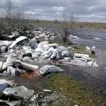 Волгоградская область: в Ахтубе затопило свалку, местные требуют вмешательства властей