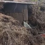 Сточные воды у пляжа: в Дубовке уже месяц фиксируют загрязнение Волги