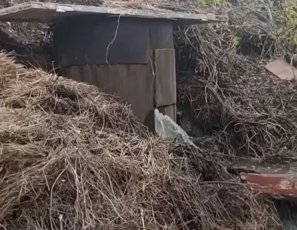 Сточные воды у пляжа: в Дубовке уже месяц фиксируют загрязнение Волги