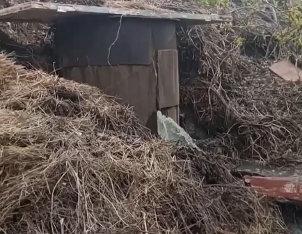 Сточные воды у пляжа: в Дубовке уже месяц фиксируют загрязнение Волги