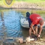 В Иловлинском районе Волгоградской области нашли тело мужчины в Дону