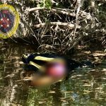 Смертельное ДТП на воде произошло в Волжском