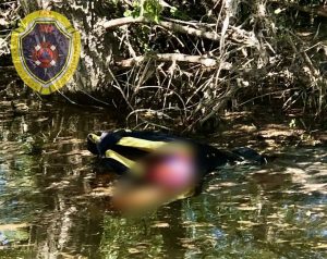 Смертельное ДТП на воде произошло в Волжском